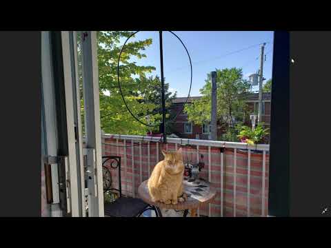 Shortwave Radio Weekly update what videos we will post and live shows November 25th 2019