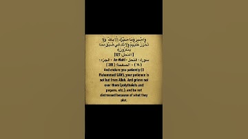 #القرآن_الكريم #اكسبلور #quran #foryou #fyp #foryoupage #تلاوة_خاشعة #مقاطع_قرآن #الحمد_لله