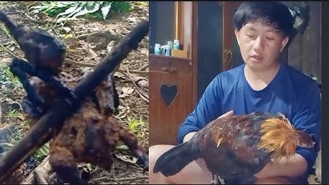 mus saib nyuj tua tau qaib qus ib tug thiab nawb.