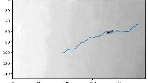 Tracking An Ant | OpenCV2 | Computer Vision