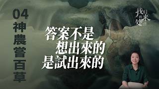 他以身試險，爲後人趟出了一條活路【神農嘗百草】【意公子】