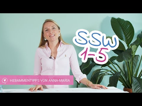 Video: Wie Führe Ich Ein Schwangerschaftstagebuch