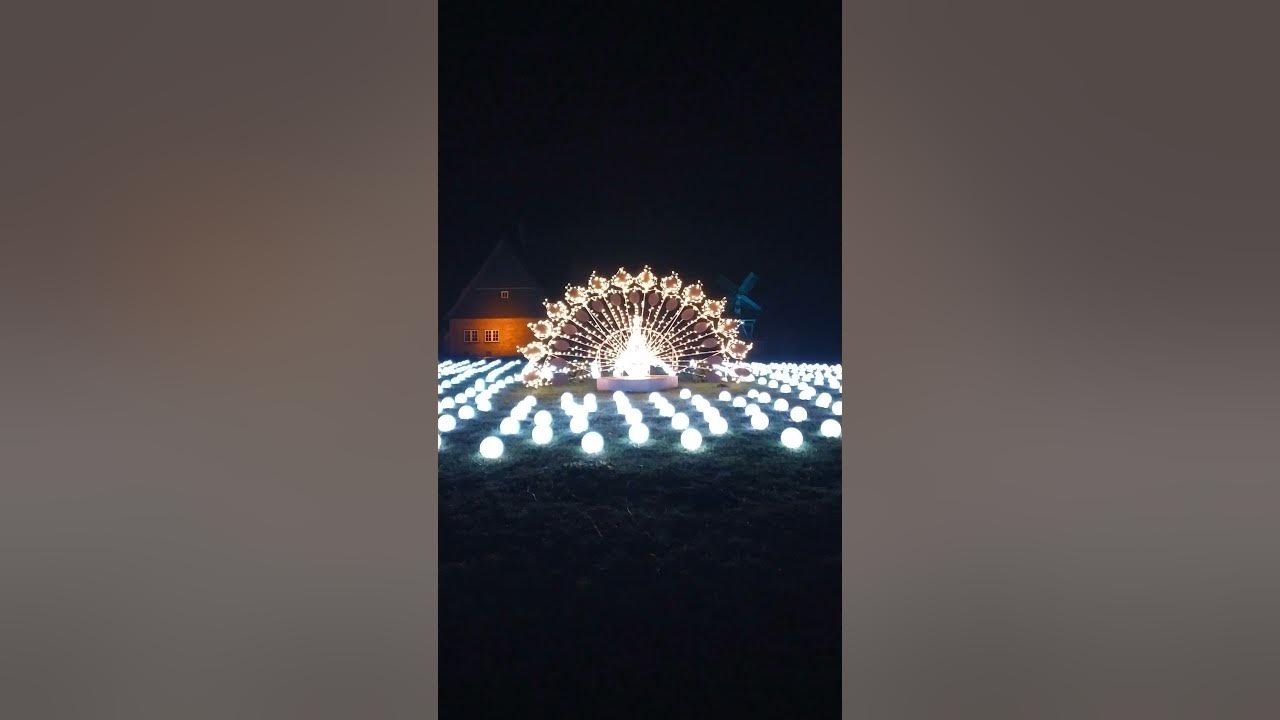 Die SPEKTAKULÄRSTE LICHTERSHOW der Welt Magischer Lichterpark most