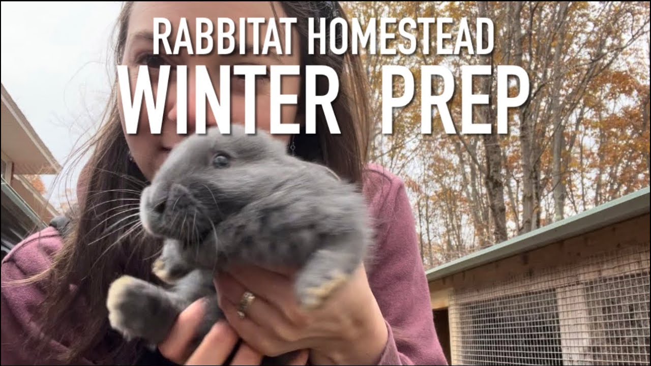 Fall cleanup & Winter prep for Silver Fox Rabbits - YouTube