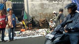 SERBA MURAH ‼PASAR LOAK JAYINEGARA |PAK AEP 081952683326