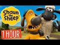 1 hour compilation  episodes 3140  shaun the sheep s1