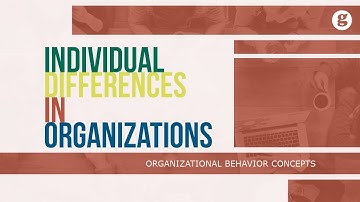 Individual Differences in Organizations