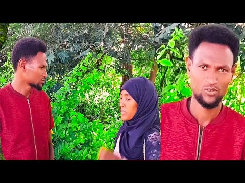 Piraankii Ajaa Ibaa Ummi Hamzaa Boochisee Wal Lolle