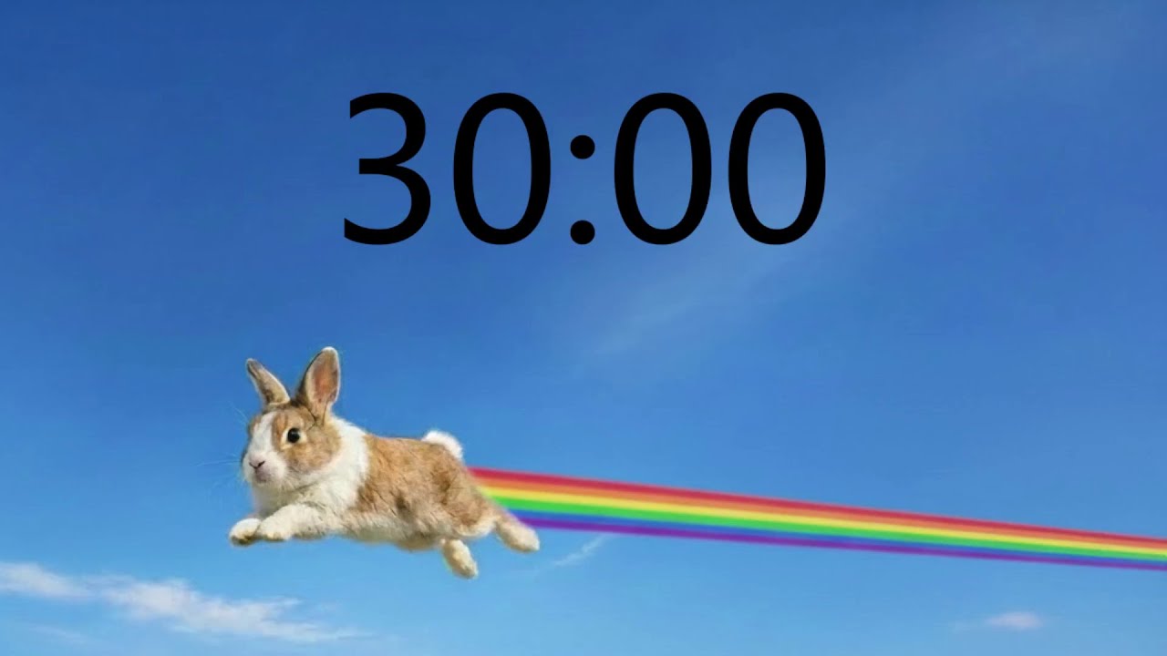 30 Minute Timer (INTENSE RABBIT MUSIC + Sound Notification at Zero ...