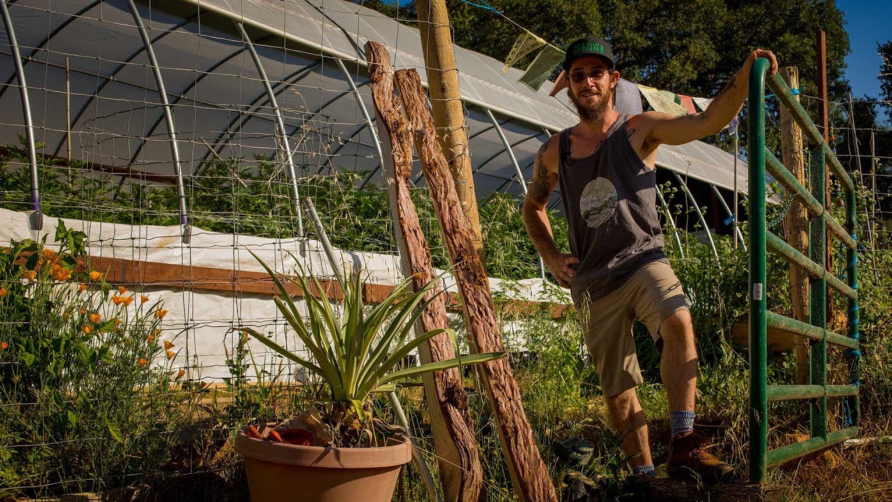 Regenerative Cannabis Cultivation with Down Om Farms