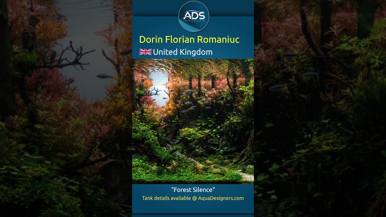 Forest Silence | High Tech Tank 