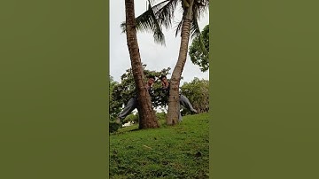 Cloning Effect  #edit #video #shorts #youtubeshorts