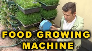 Grow 100 veg & microgreens on 10 sq ft in a DIY Food Machine