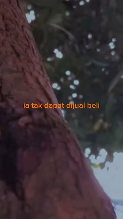 iman dan takwa tidak dapat di warisi #iman #musikalisasi #nadoman #takwa #waris #religion #malaysia