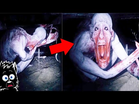 БЕШЕНЫЙ СКРОМНИК и ДРУГАЯ КРИПОТЕНЬ СНЯТАЯ НА КАМЕРУ [Черный кот]