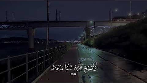 جزء 22 | تلاوة هادئة آيات من سورة القصص بصوت جدًا جميل - محمد بوحسون ✨ .