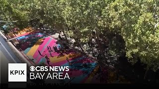 San Jose community turn downtown street into colorful canvas