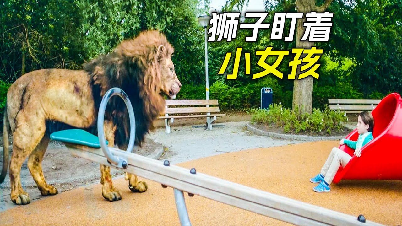 公園裡出現一頭大獅子，死死盯著滑梯裡的女孩，科幻，奇幻，電影，解說，獵奇，懸疑，冒險，動作