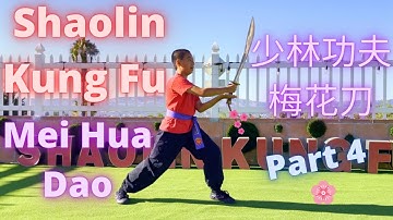 ► Shaolin Kung Fu - Mei Hua Dao 🔪 #梅花刀 #少林功夫 #少林梅花刀 🔥 #少林單刀 #大刀 #功夫教學 示範 教學 Training Tutorial Part 4