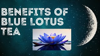 Soothing Blue Lotus Tea Anxiety Relief & Lucid Dreaming