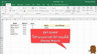 Excel สูตร SUMIF ให้บวกรวมเฉพาะคำที่กำหนดได้ แก้ปัญหาข้อมูลไม่เหมือน (Partial Match)