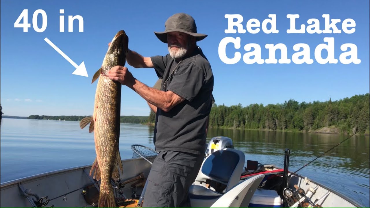 canada fishing trips from minnesota