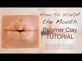 How to sculpt the Mouth - OOAK Polymer Clay Tutorial - Sculpting Particulars 2