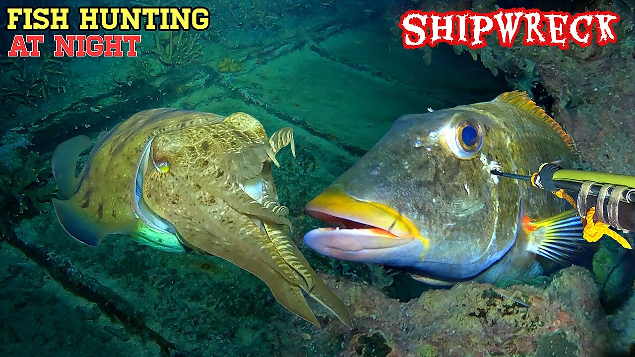 Fish Getting Hunted NIGHT SPEARFISHING EPISODE 181 | FISH HUNTING AT NIGHT - YouTube