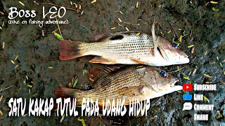Download Lagu One Spot Snapper | Talingan | Boss LEO MP3