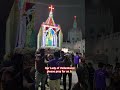 Vailankanni Madha please pray for us🙏✝️#velankannimadha#catholicchurch#catholicfaith#christianshorts
