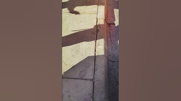 (remake)via bus route announcement: Route 34 South St Mary