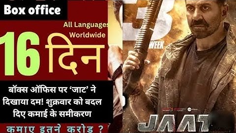 Jaat Day 16 Box Office Collection | Jaat Box Office Collection | #jaat #sunny #bimalchatterjeeworld