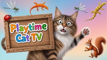 Playtime Cat TV – Cat Games That Make Indoor Time More Rewarding