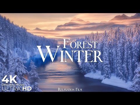 Winter Forest 4K Snow Ambience Relaxation Film With Deep Calming Music Nature Ultra HD 