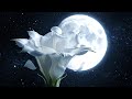 Discover the Sandstone Giants of Moonflower Heaven 🌊🌙 #Nature #RisingSeas