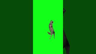 Волк Танцует Ихвилихт На Зеленом Фоне