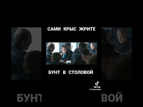 БРИГАДА LIVE