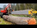 This powerful machine surprises even foresters  incredible ingenious woodworking inventions