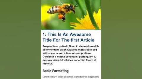 WP-AppKit - Wpak Off-Canvas theme for iOS