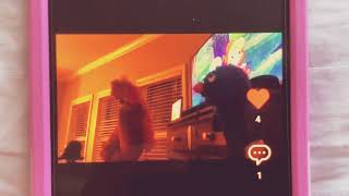 Elmo Screams For Ice Cream