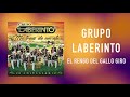 Laberinto- El Rengo Del Gallo Giro- [Audio Oficial]