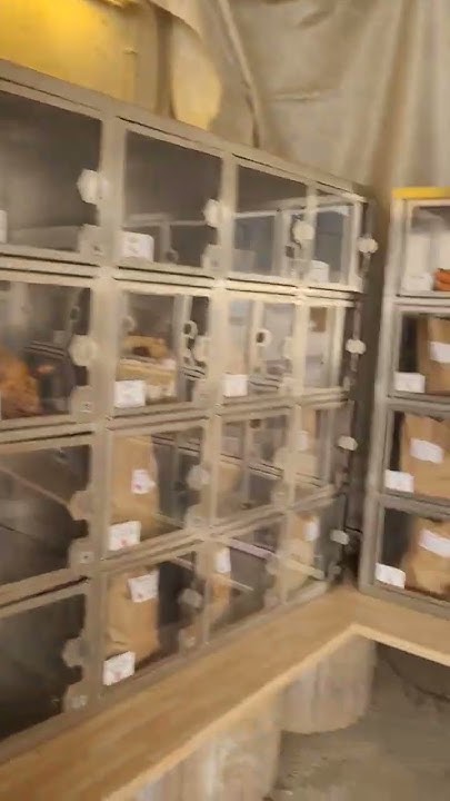 shops-are-close-on-sunday-in-germany-there-are-24-7-food-vending