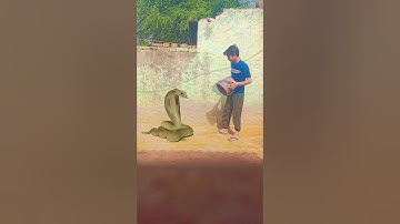 Nagin Snake vfx magic video | Cobra vfx viral video | #song #vfx