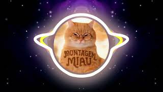 Montagem Miau Slowed & Reverb