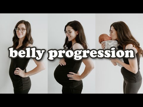 PREGNANT BELLY PROGRESSION | Week by Week Transformation