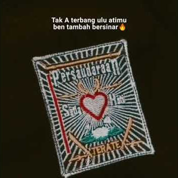 story wa psht terbaru, persaudaraan setia hati terate