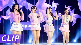 Highlight EP1：Strawberry Icecream 【CHUANG ASIA】