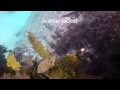 Shelly Beach Dive, Australia 9/8/2015