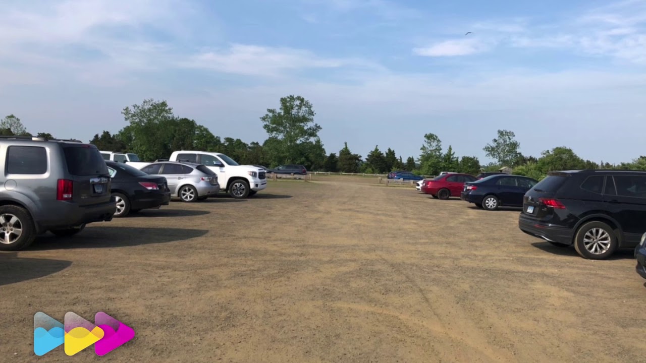 Hammonasset Beach🏖 Quick Tour