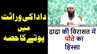 (22- DARS-E-HADEES) Dada Ki Viraasat Mein Pote Ka Hissah.By Kifayatullah Sanabili